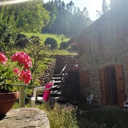 Villetta Arcobaleno - Your Mountain Holiday Casargo Екстериор снимка