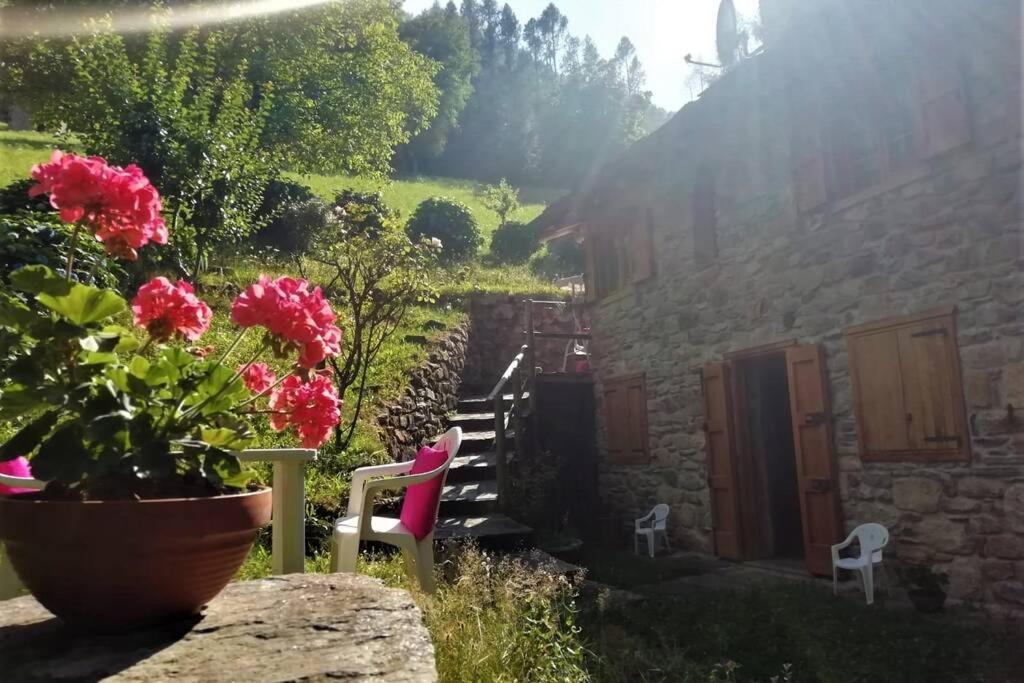 Villetta Arcobaleno - Your Mountain Holiday Casargo Екстериор снимка